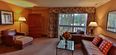 FOREST SUITES RESORT image 7